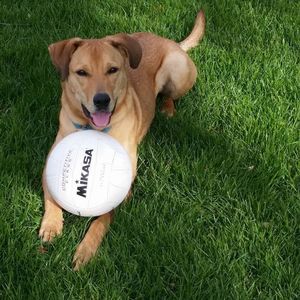 Meet your Posher, Marybeth